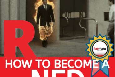 How to become a NED
