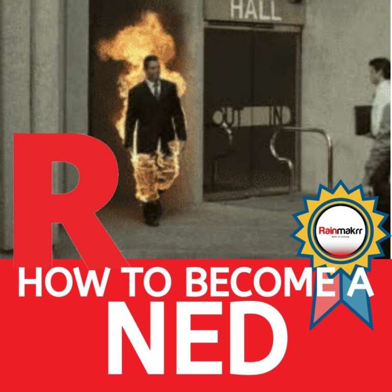 How to become a NED