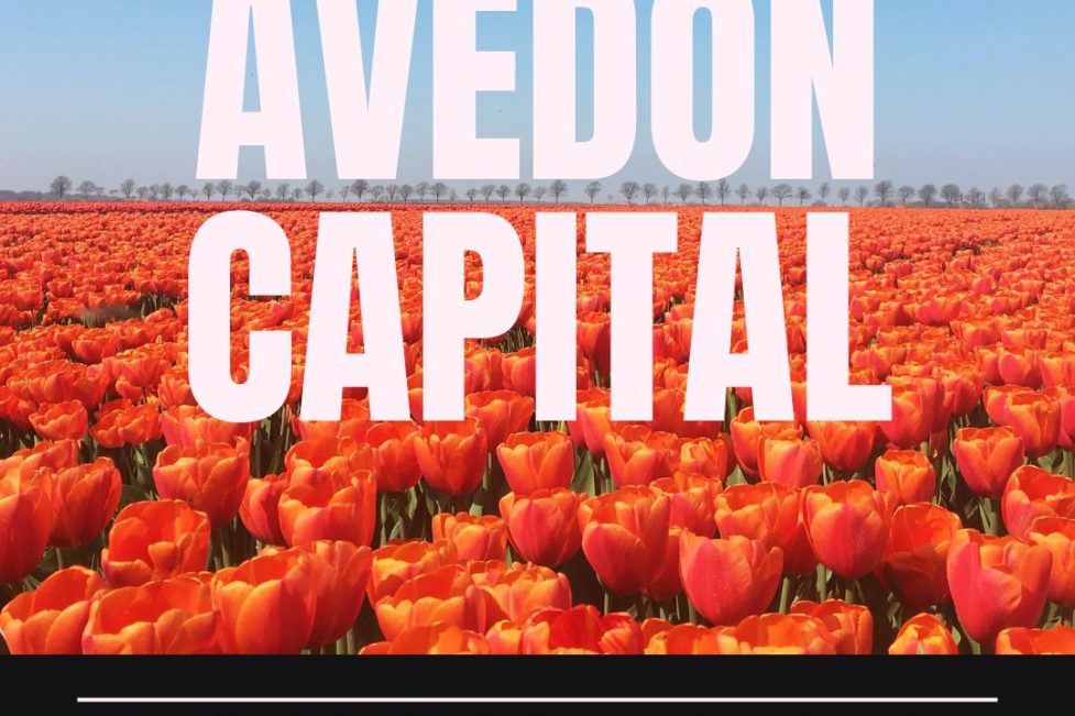 Avedon Capital private equity firms netherlands private equity belgium netherlands private equity firms private equity dutch private equity firms amsterdam