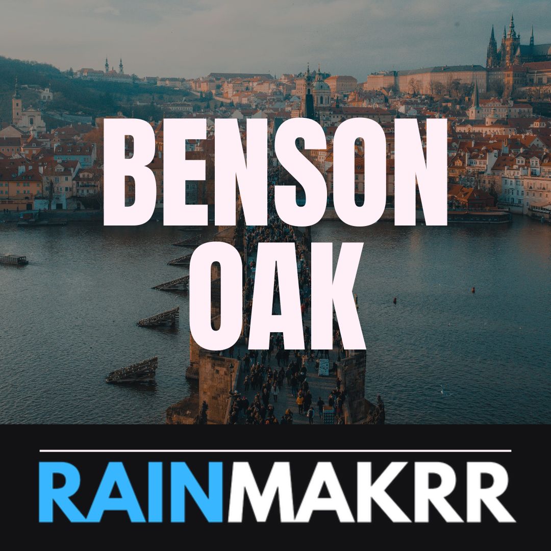 Benson Oak Capital czech republicprivate equity firms czech republic