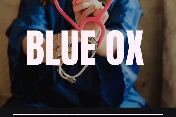 Blue Ox Healthcare Private Equity Firms Healthcare Private Equity Healthcare PE Firms Healthcare