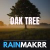 Oak tree top real estate private equity firms real estate private equity real estate