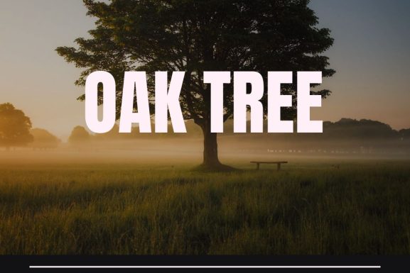 Oak tree top real estate private equity firms real estate private equity real estate
