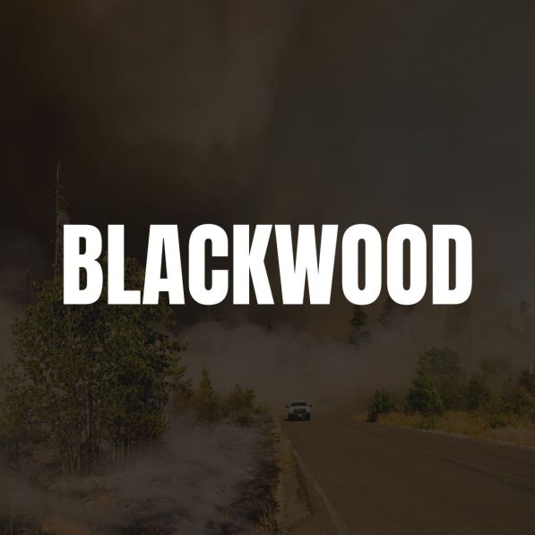 BLACKWOOD top executive search firms london
