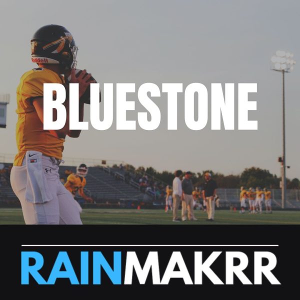 Bluestone Sports Partners top sports private equity firms sports pe firms sports investment companies sports investment firms top private equity sports firms private equity firms investing in spor